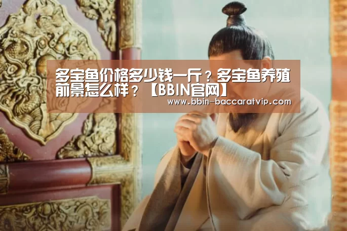 BBIN登录